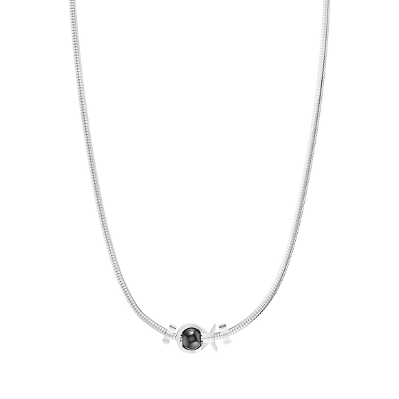 Phiiish Charm Neclace in Premium Stainless Steel (316L) with 1 Magnetite Fish Charm